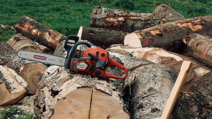 Tradiziotik berritasunera: Euskal Timber