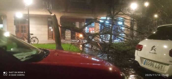 Kalteak eragin dituzte bart izandako haizeteek