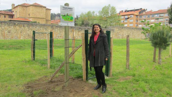 Txakurrak aske ibiltzeko bi gune berri atondu ditu Udal Gobernuak