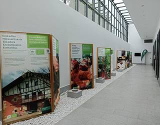 'Elikadura ekologikoarekin dena hobetzen da' erakusketa zabalduko dute bihar