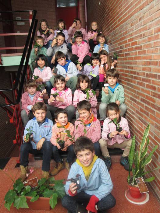 Landareak maitatzen ikasteko lehen pausoa