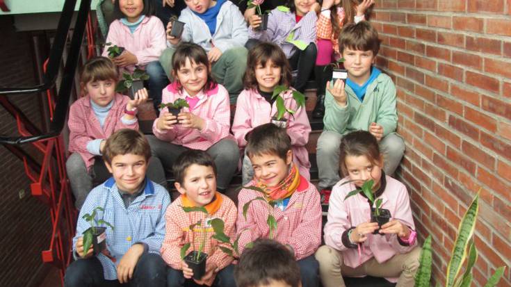 Landareak maitatzen ikasteko lehen pausoa