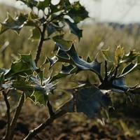 Dokumentala: 'Eraman zutela'