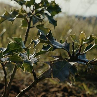 Dokumentala: 'Eraman zutela'