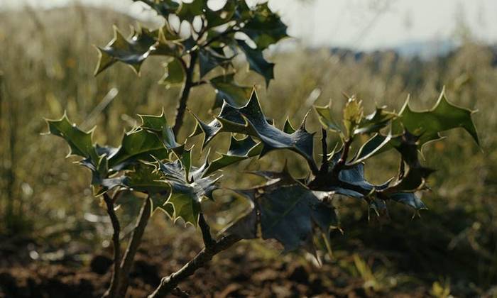 Dokumentala: 'Eraman zutela'