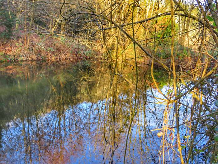 Igandean Arnoko hezeguneak ezagutzeko irteera antolatu du Geoparkeak