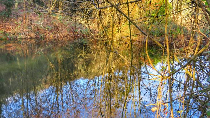 Igandean Arnoko hezeguneak ezagutzeko irteera antolatu du Geoparkeak