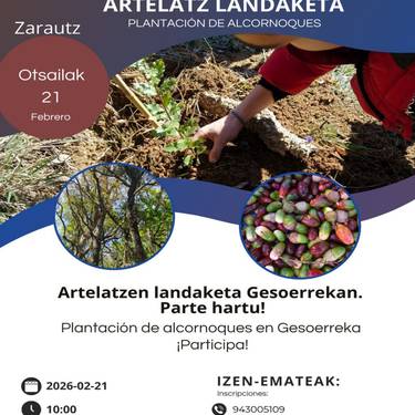 Zuhaitz landaketa: Artelatz landaleta Gesoerrekan