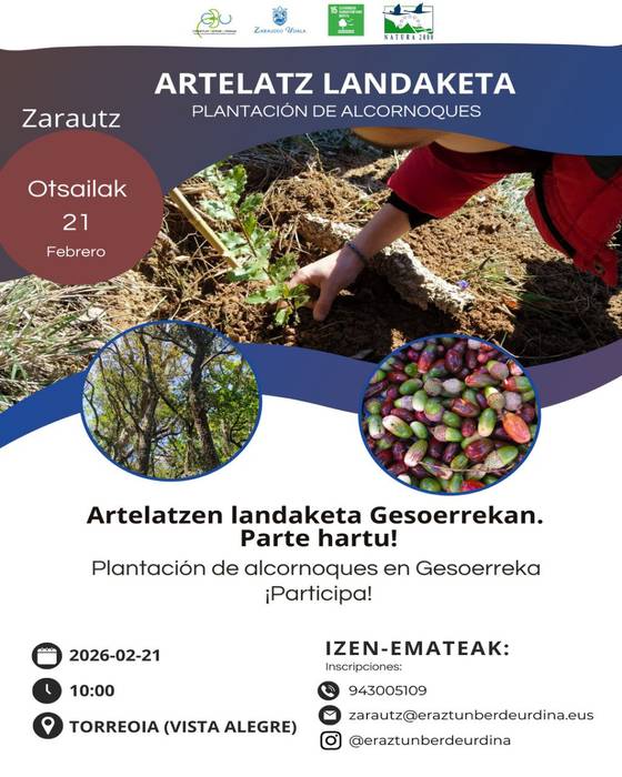 Zuhaitz landaketa: Artelatz landaleta Gesoerrekan