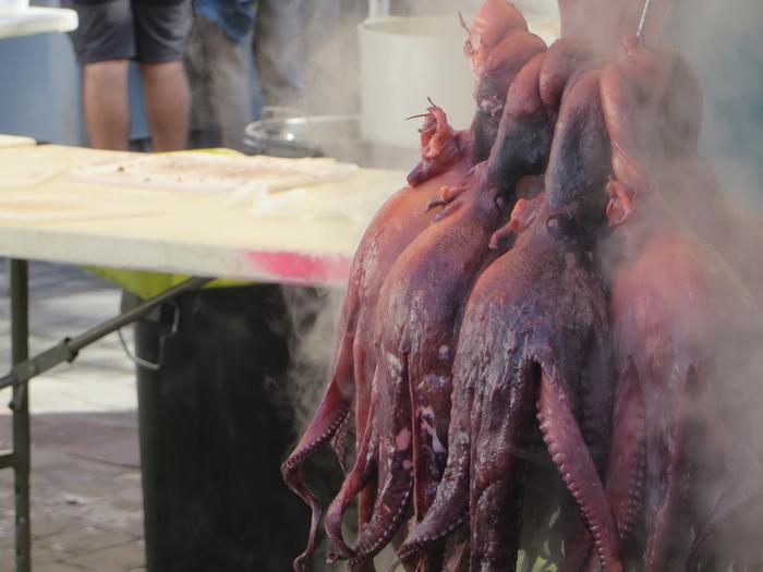 Hilaren 24an banatuko dituzte Olagarro Eguneko argazki rallyko sariak