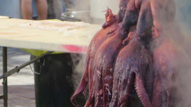 Hilaren 24an banatuko dituzte Olagarro Eguneko argazki rallyko sariak