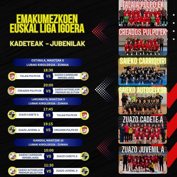 Eskubaloia: emakumeen Euskal Ligarako igoera