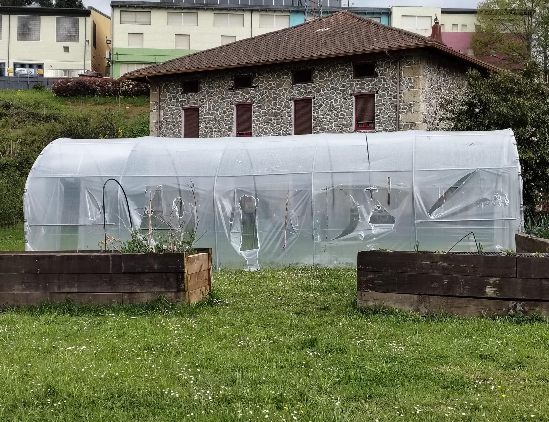 Kejie ta desditxie: "Azkoitia BHIren baratzea puskatuta"