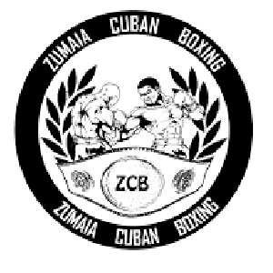 Erabiltzailearen aurpegia