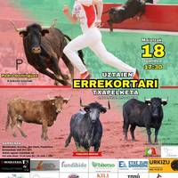 Errekortarien uztai txapelketa