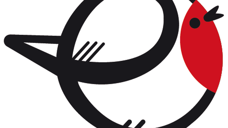 EUSKARAREN EGUNA 2017