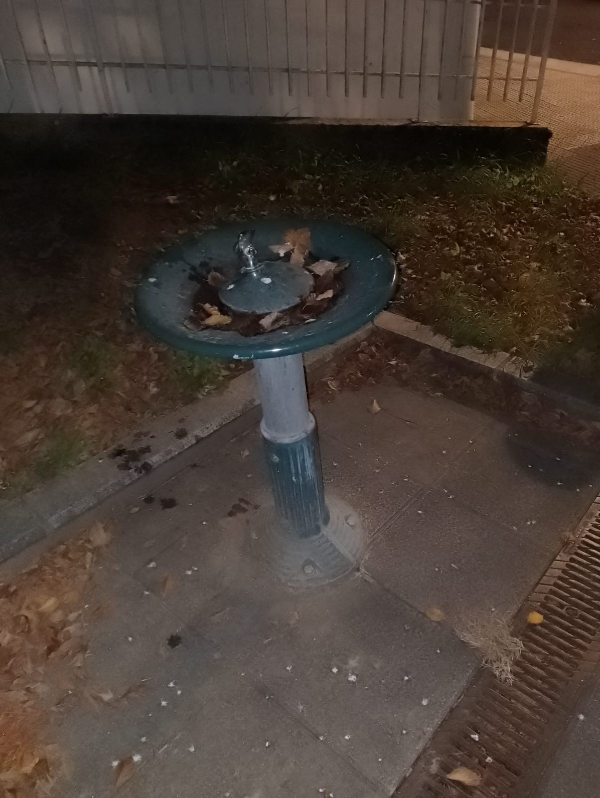 Santutxoko iturria, "bost urte baino gehiagoz izorratuta"