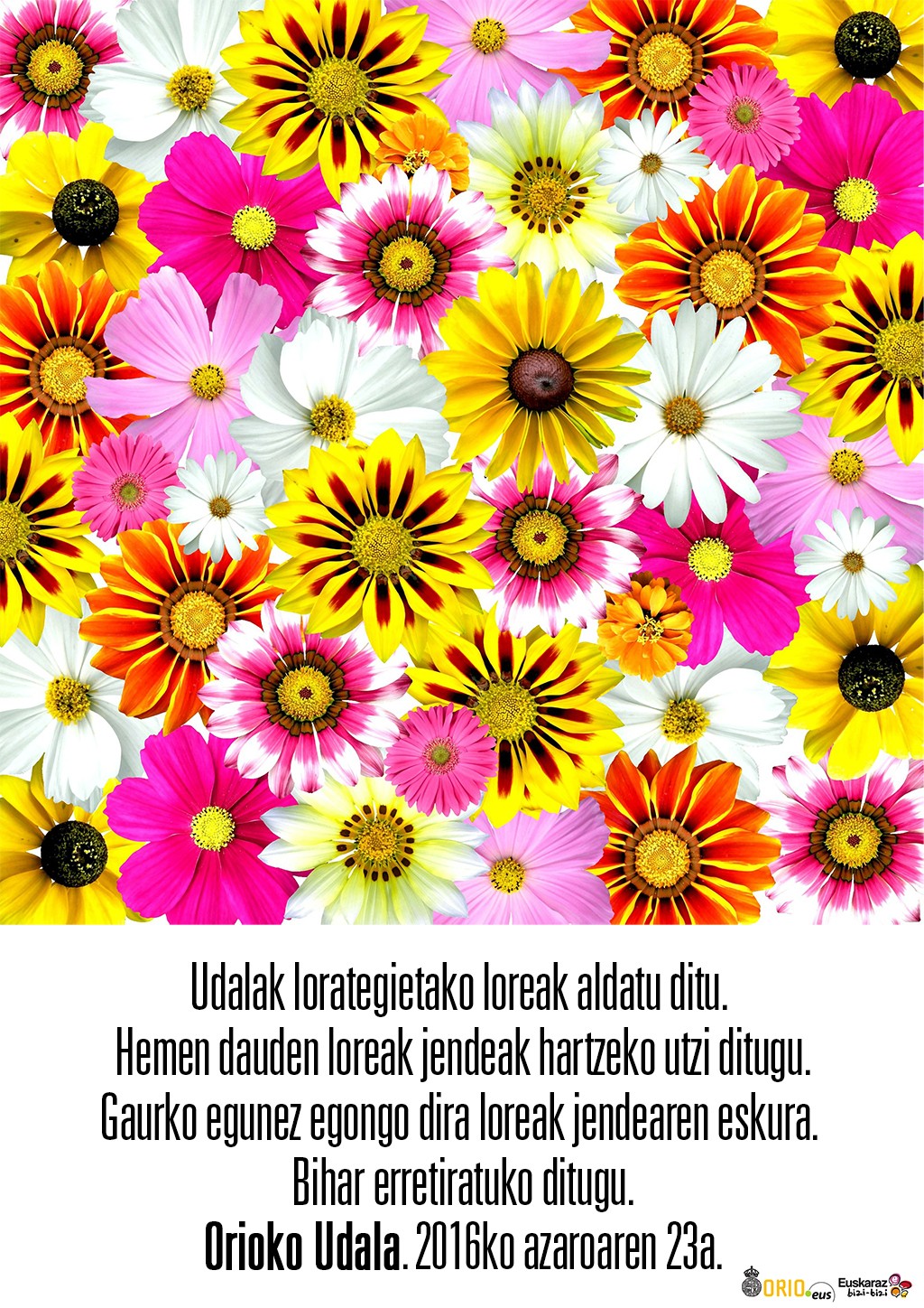 Loreak opari