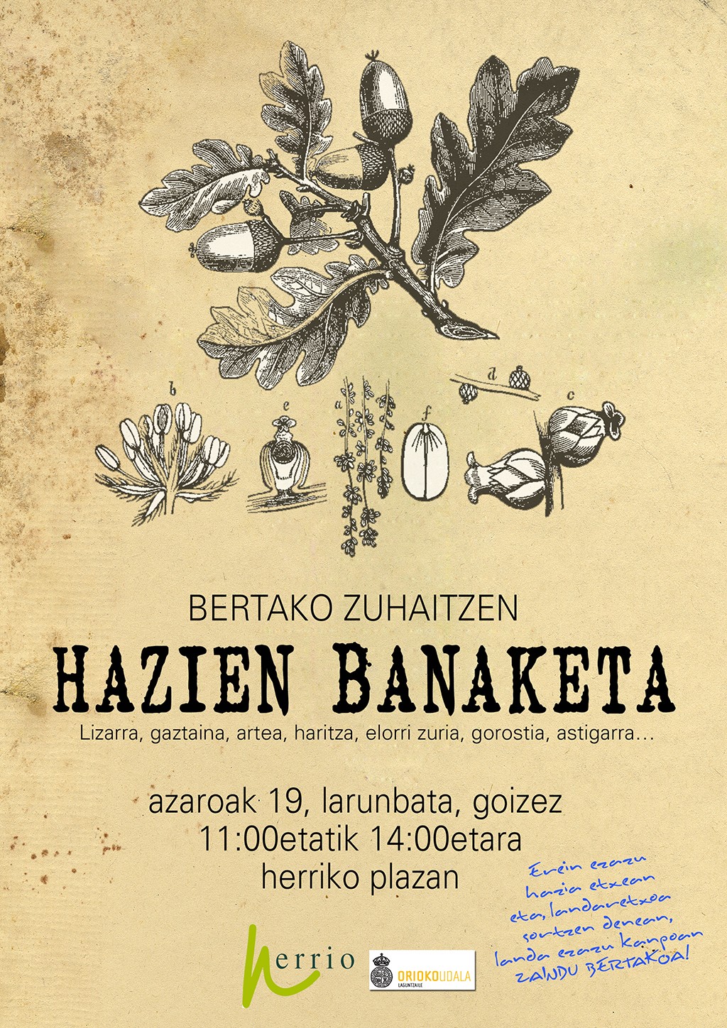 Hazien banaketa