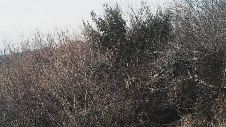 Hasiera, korapiloa, amaiera