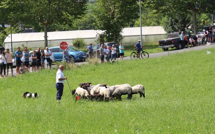 Sei lehiakide, etzi jokatuko duten III. Artzain Txakur Txapelketan