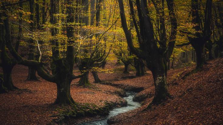 Askatu, berriz hasi
