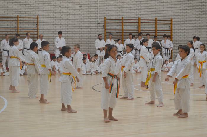 Karate eskolako ikasleen erakustaldia ostiralean, Balda plazan