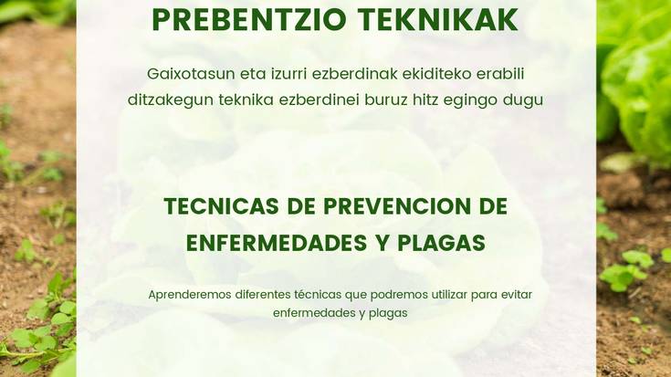 Furgobaratza tailerra: 'Gaixotasun eta izurrien prebentzio teknikak'