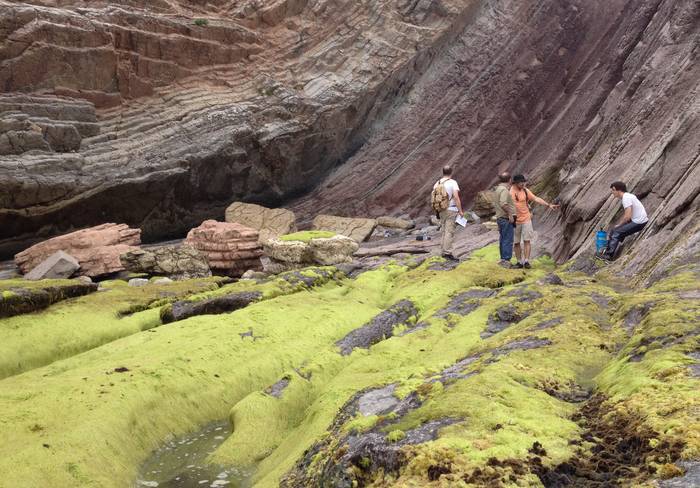 Euskal Kostaldeko Geoparkean egindako ikerketa batek dinosauroen desagerpenari buruzko datu esanguratsuak plazaratu ditu