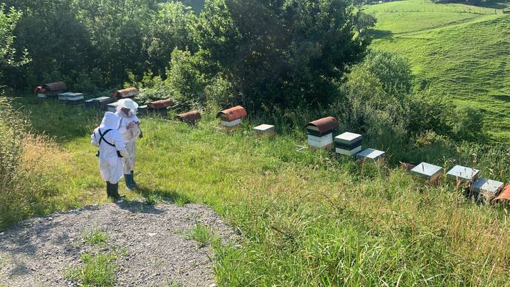 Uztaileko Zumaia Guka aldizkariaren aurrerapena: Erlezainak Amezmendin
