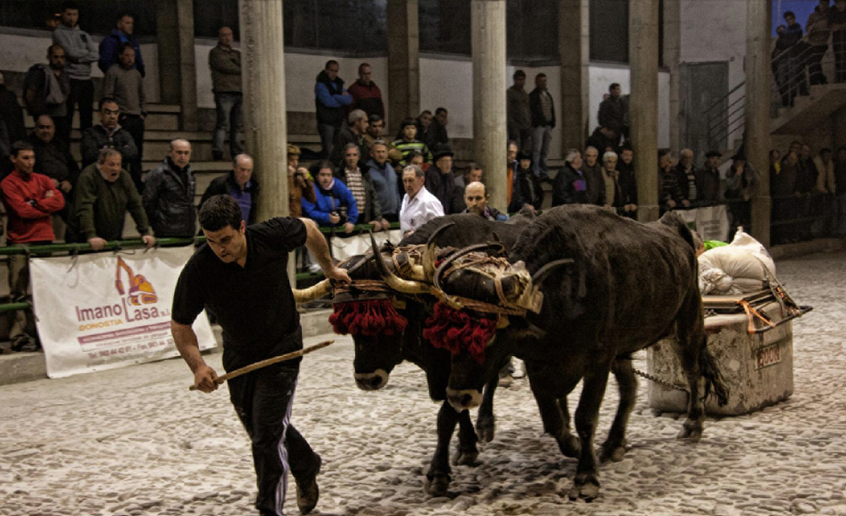 Euskadiko Kopa Kintopeko Idi Proba Txapelketa jokatuko dute Aian