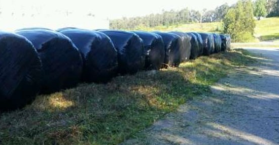 Silo bolen plastiko bilketa "egoki" egiteko eskatu dute Zestoako Udalak eta Urkomek