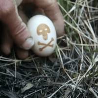 Saioa: 'Biodibertsitatea pozoien itzalpean'