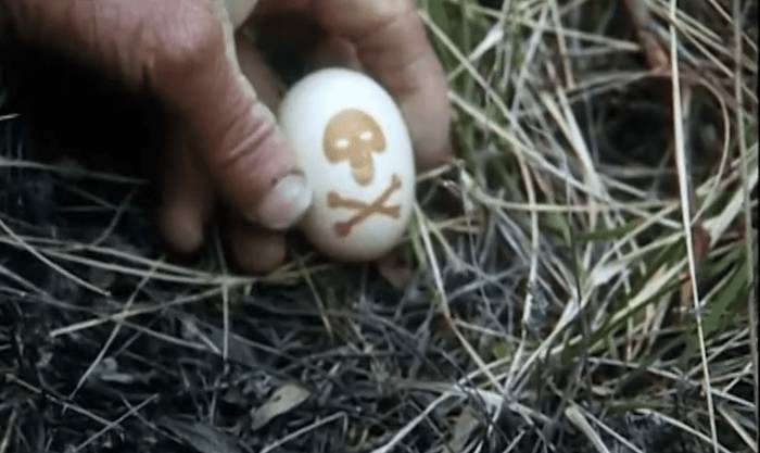 Saioa: 'Biodibertsitatea pozoien itzalpean'