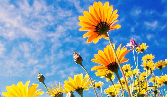 Hotzetik esnatu da udaberriko lehenengo eguna