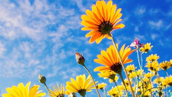 Hotzetik esnatu da udaberriko lehenengo eguna