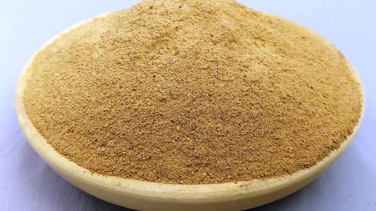 Zumaiako hitz bereziak: TXORIXIMOR