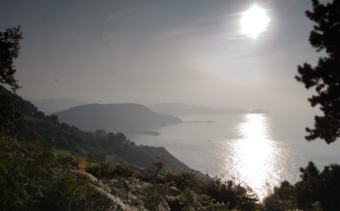 Orio eta Donostia arteko GR121-a bidea egokitzearen aurka daude natur taldeak
