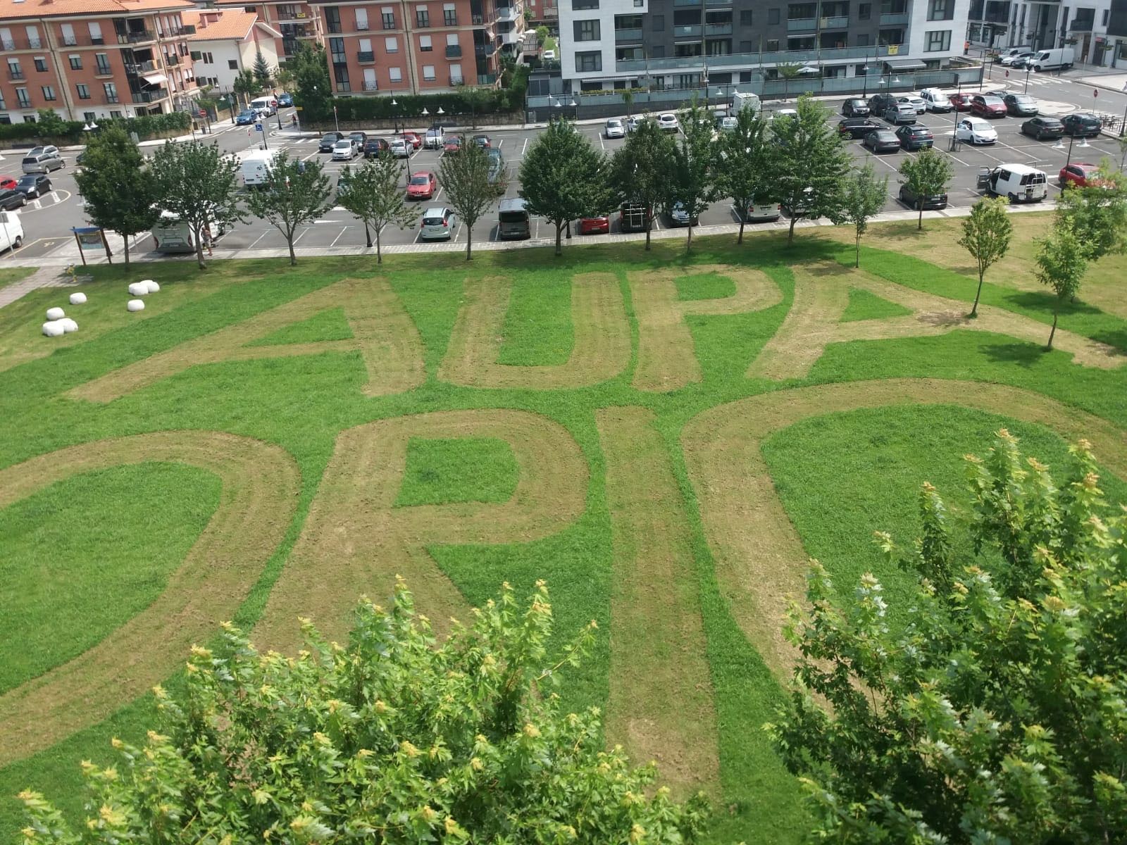 Irudia: 'Aupa Orio' irakur daiteke atzotik, futbol zelai ondoko belardian