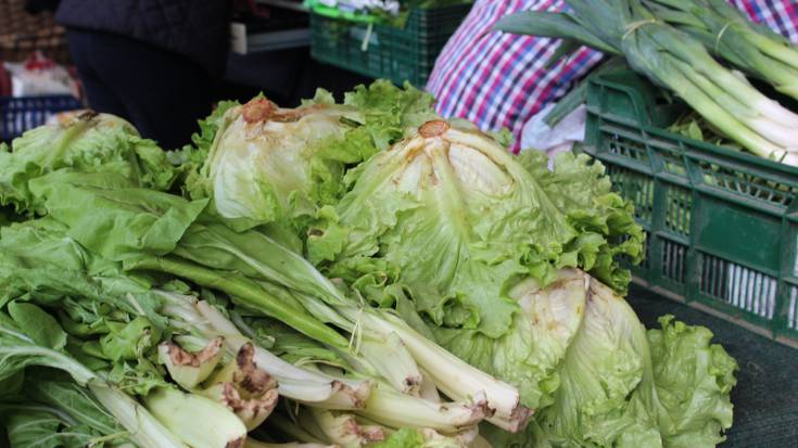 Azokak berriz zabaltzeko eskatu dute hainbat eragilek