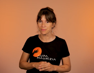 Sar dadila kalabazan: 'Pello eta galtxagorriak'