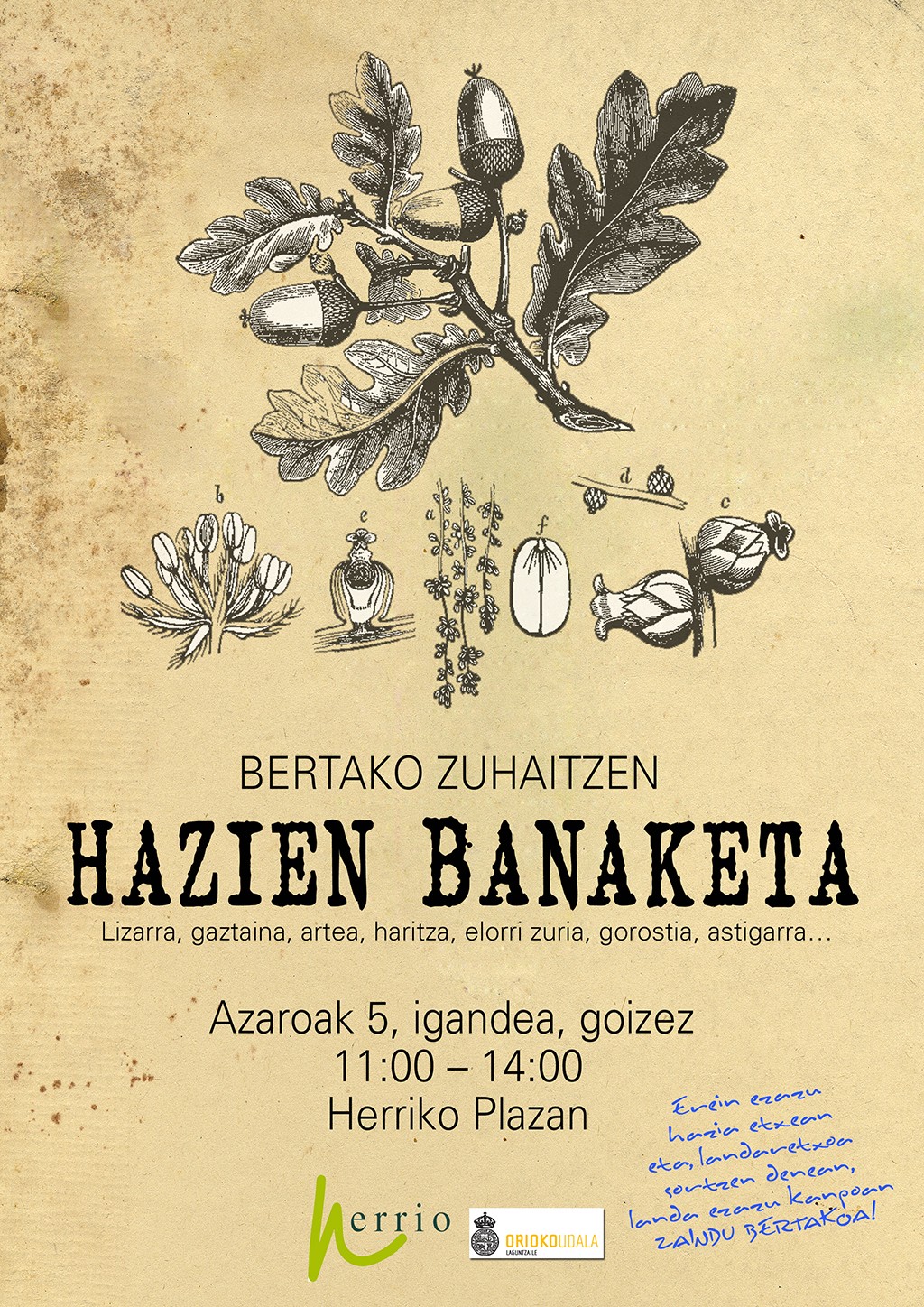 Zuhaitz hazien banaketa
