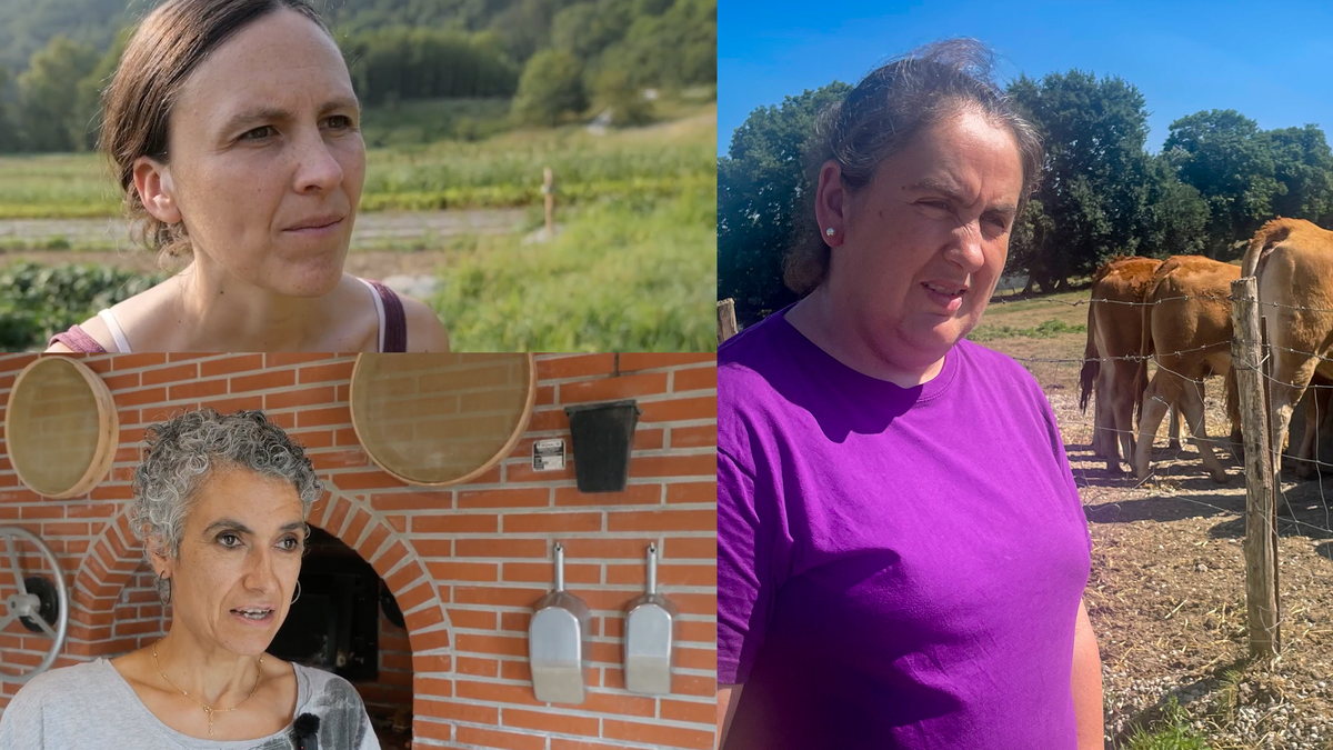 Beroaldi luzeen ondorioak pairatzen hasi dira lehen sektorean