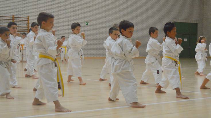 Karate eskolako ikasleen jaialdia asteartean, Elkargunean