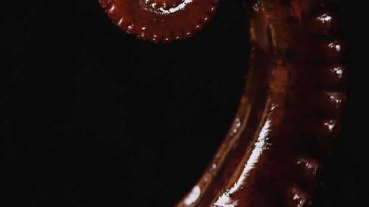 Olarro Eguneko Argazki Rallyaren oinarrien berri eman du Distira Elkarteak