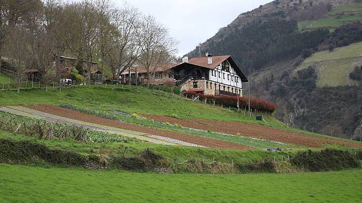 Zelaiak berde, baratzeak gorri