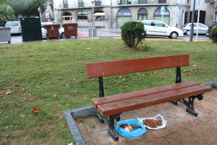 Kaleko animaliei jaten ematea debekatuta dagoela gogorarazi du Azpeitiko Udalak