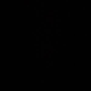 Erabiltzailearen aurpegia