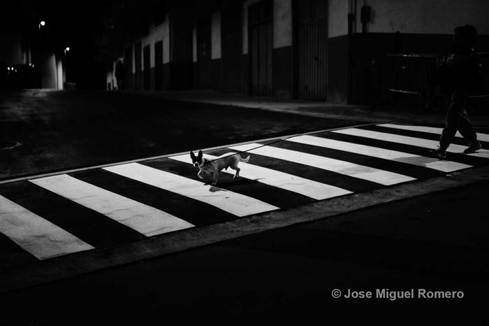 Jose Miguel Romerok irabazi du aurtengo Gau Txori argazki rallya