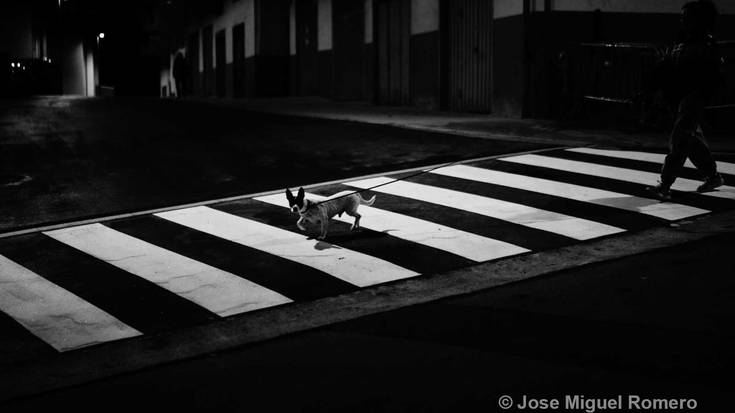 Jose Miguel Romerok irabazi du aurtengo Gau Txori argazki rallya